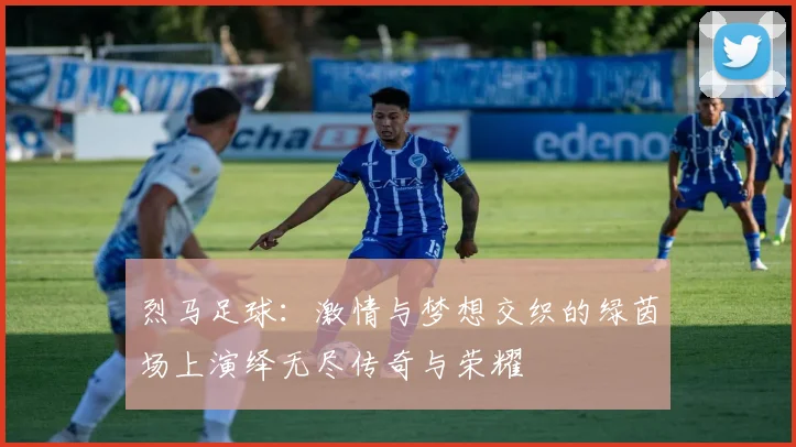 烈马足球：激情与梦想交织的绿茵场上演绎无尽传奇与荣耀