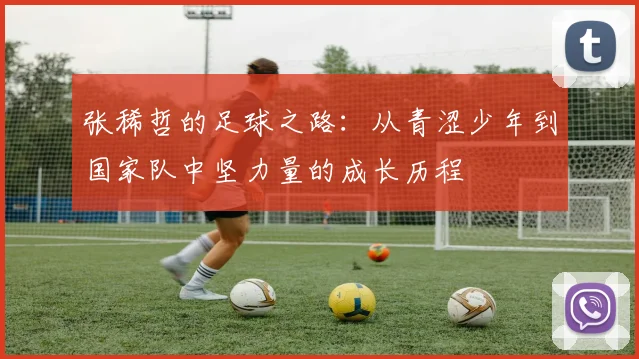 张稀哲的足球之路：从青涩少年到国家队中坚力量的成长历程