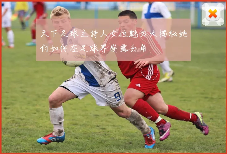 天下足球主持人女性魅力大揭秘她们如何在足球界崭露头角