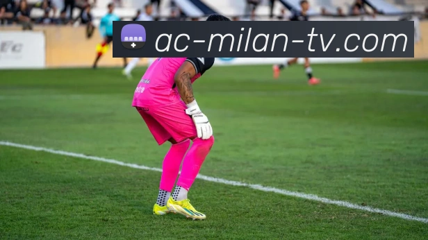 App Interface Preview