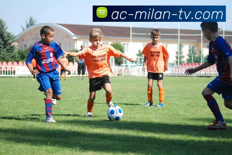 米兰体育APP 封面图